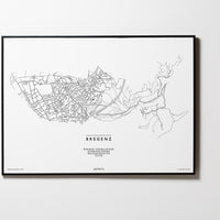 Bregenz | 6900 | Vorarlberg | City Map Karte Plan Bild Print Poster Mit Rahmen Framed L & XL
